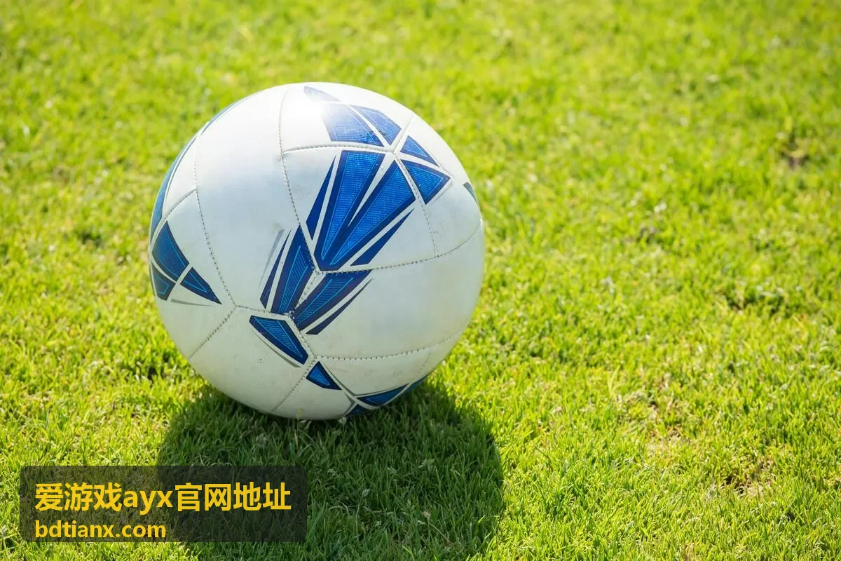 爱游戏ayx官网地址 下载到安装完整流程专题配图